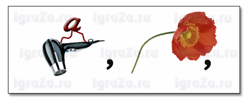 апофема