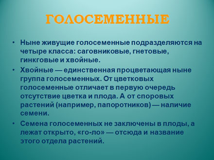 Голосеменные растения