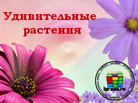 Удивительные растения