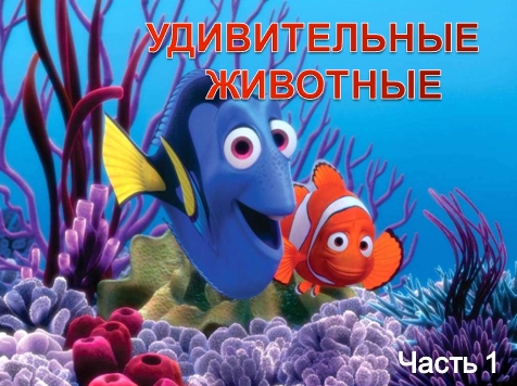 Сюрпризы водного мира