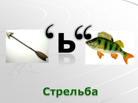 Олимпийские виды спорта